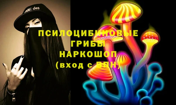 спиды Аркадак