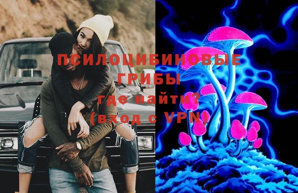 амф Арсеньев