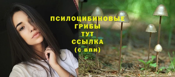 амф Арсеньев