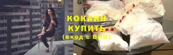 амф Арсеньев