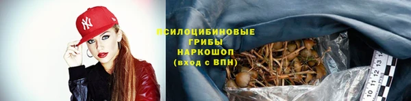 амф Арсеньев