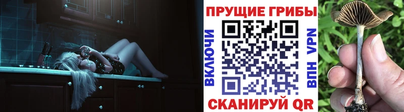 Псилоцибиновые грибы MAGIC MUSHROOMS  гидра вход  Лебедянь 